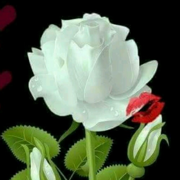 Meet your Posher, Sweetd - Picture 1 of 1